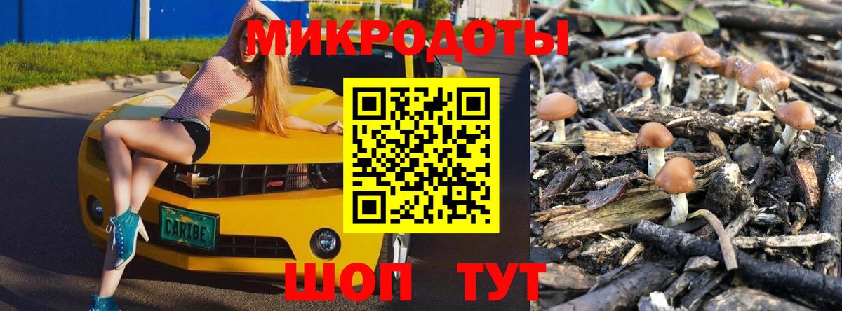 Казань  Псилоцибиновые грибы Magic Shrooms  Вход с VPN 